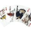 3D Bird Playing Cards