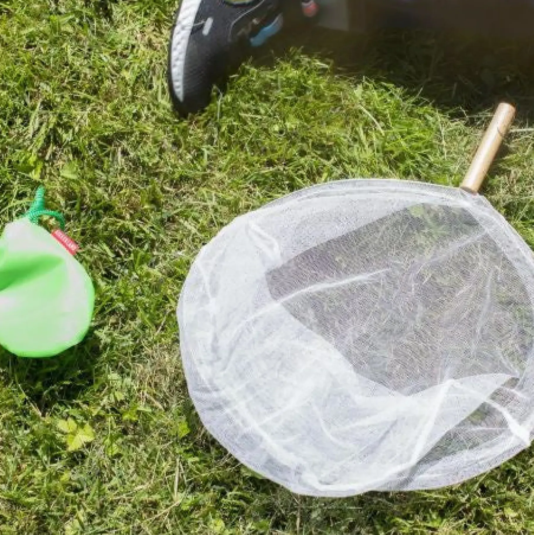 Huckleberry Pop-Up Net