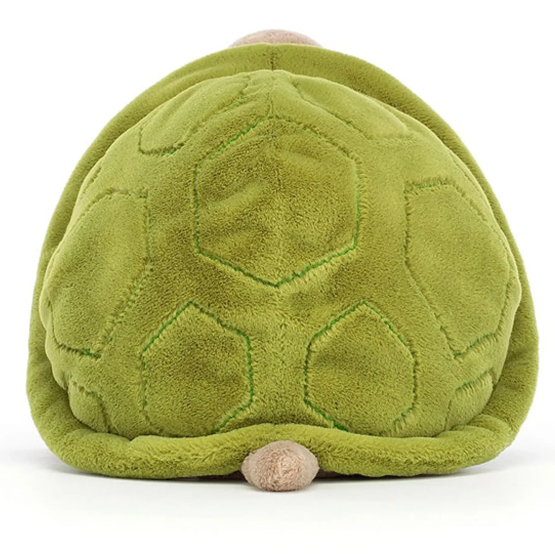 Jellycat Timmy Turtle
